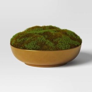 THRESHOLD NWT faux moss in gold bowl